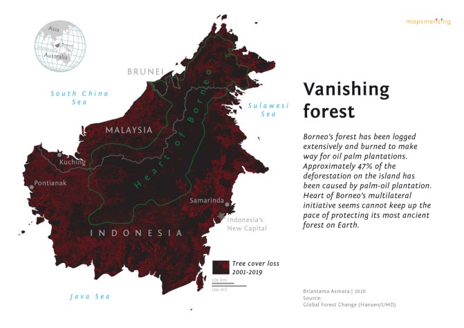 peta kehilangan hutan borneo forest loss map